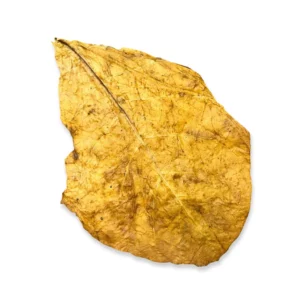 Tabac Brut